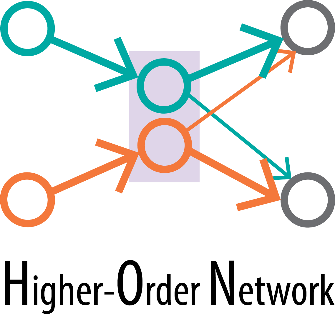 Higher-order network